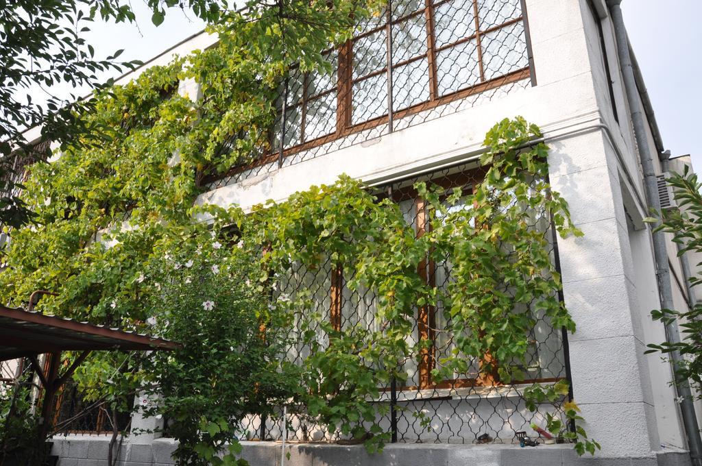 Villa Ivana Odessa Exterior photo